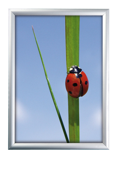 Alu Klapprahmen 25mm - 70x100cm - Maxi-Set