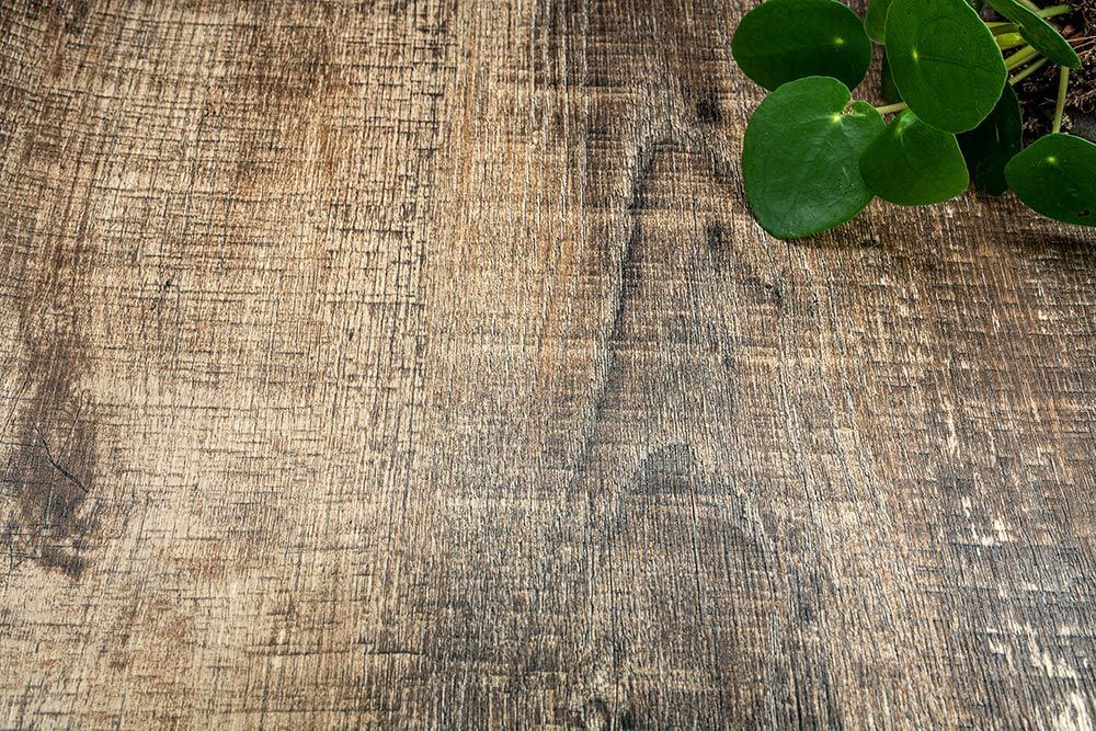 Driftwood Brown - NF83